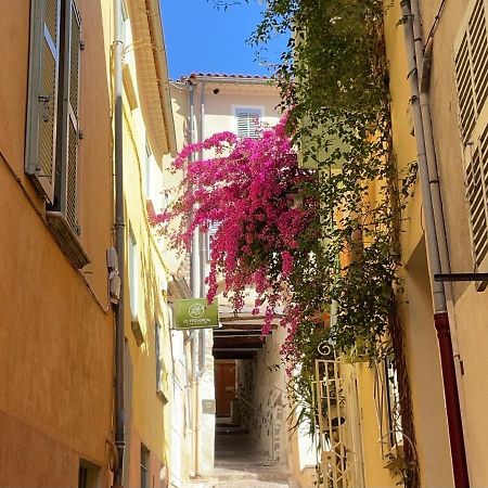 Appartement Palmiers, Coeur De Ville Sur Le Parcours Des Arts Hyères Dış mekan fotoğraf